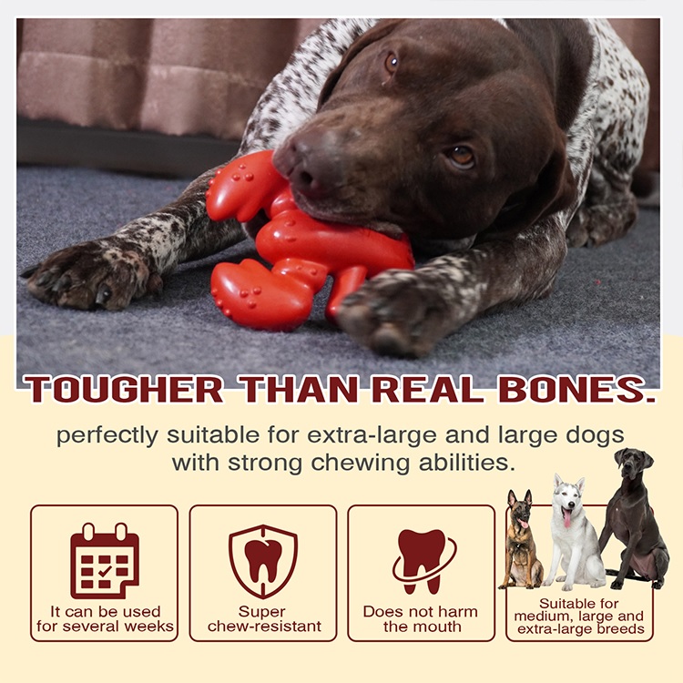 Boston lobster Dog Chew Toy Durable Rubber Teething Toys with Bacon Flavor for Large Breeds