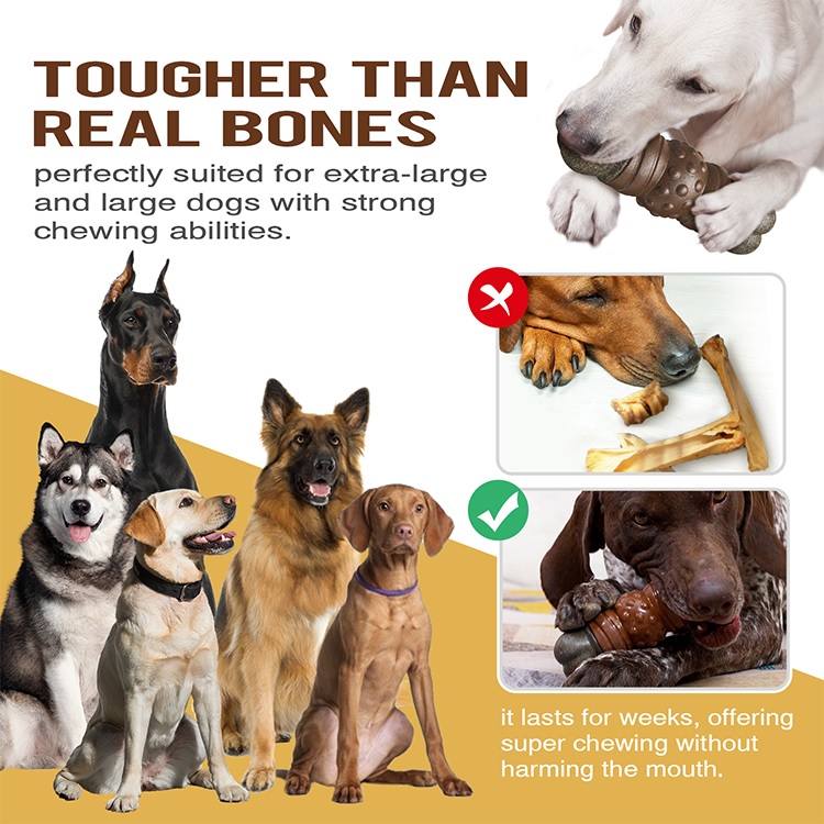 Squeaky Bone Dog Toy Durable Chew Toys for Large Medium Breed Dog