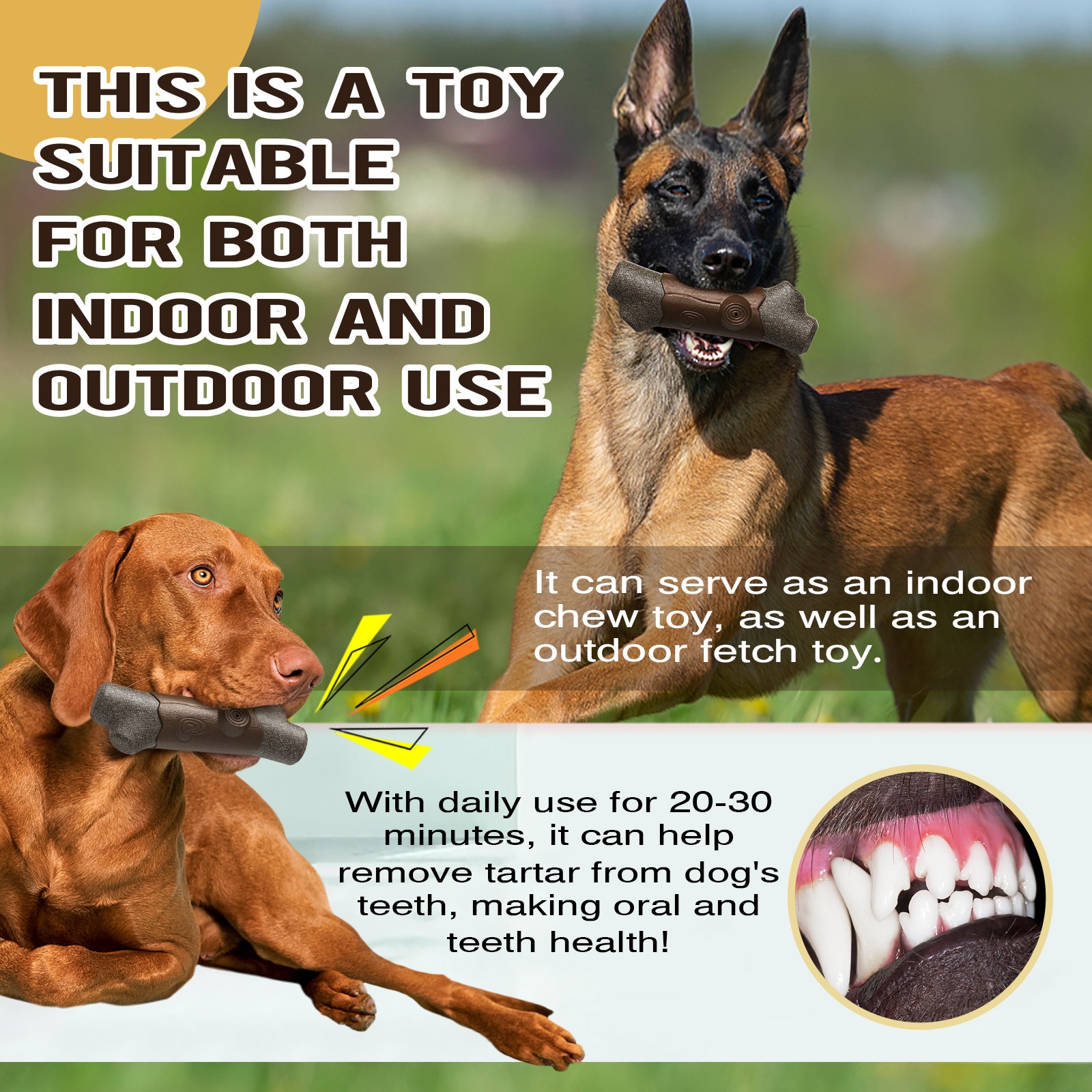 Squeaky Branch Dog Chew Toy for Aggressive Chewers